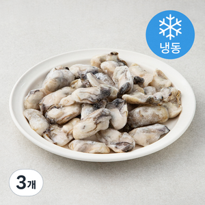 중앙씨푸드 국산 숨굴 (냉동), 350g, 3개