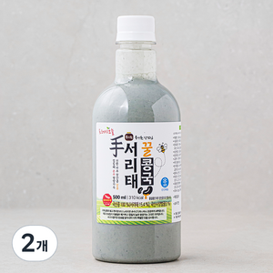 프레시오늘 신선냉장 장단콩 꿀서리태콩국, 500ml, 2개