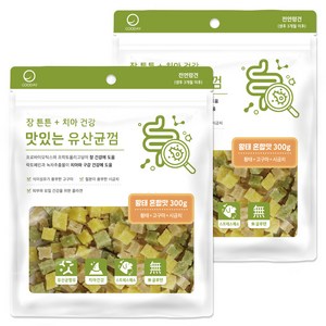 굿데이 맛있는 유산균껌 강아지 간식, 황태혼합, 300g, 2개