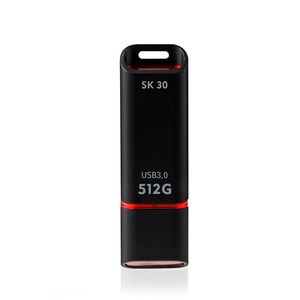 액센 USB3.0 메모리 SK30, 512GB, 1개