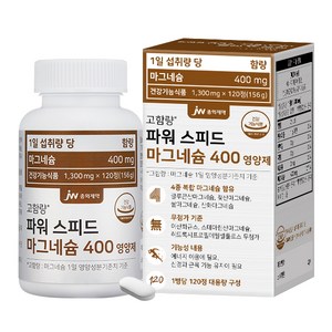 JW중외제약 파워 스피드 마그네슘 400 영양제 156g, 120정, 1개