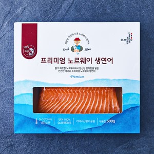 노르웨이산 엠앤엠씨 생연어 (냉장), 500g, 1개