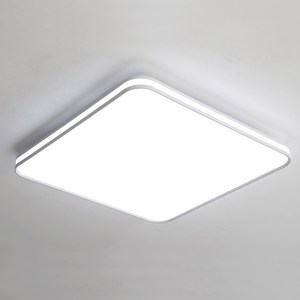 라인시스템 방등 LED 50W, 화이트