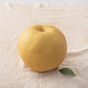 원농산 당도선별 배, 1팩, 800g