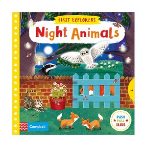 Night Animals : Fist Exploes, Macmillan Childen's Books