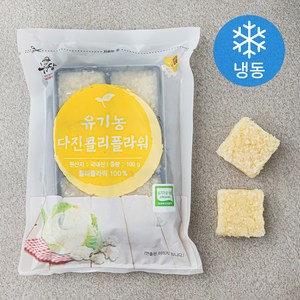 우리땅 유기가공식품 인증 다진 콜리플라워 (냉동), 100g, 1팩