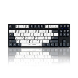 덱 프랑슘 거북선 블랙에디션 유선 텐키리스 키보드 스피드 PBT 넌LED, 혼합색상, CBL-87XN, 은축