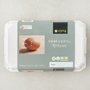 유정마을 동물복지 인증 방사유정란 780g, 15구, 1개