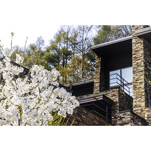 [충청북도 제천시] 포레스트 리솜