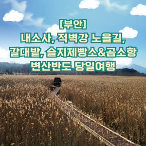 [부안] 자연이 빚은 보물 부안 변산반도 당일여행(내소사, 적벽강노을길,슬지제빵소)