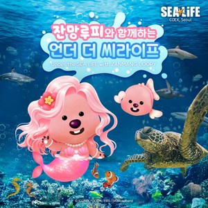 [서울/삼성] [서울/삼성] SEA LIFE 코엑스아쿠아리움_성인권/어린이권/커플/패밀리 골드박스 특가