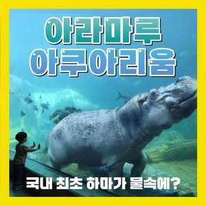 [경남/사천] ★아라마루 아쿠아리움 입장권