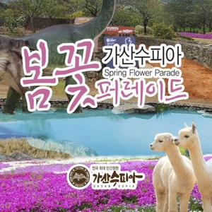 [칠곡] 가산수피아 특가 입장권
