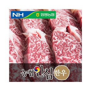 농협안심한우 등심, 1개입, 500g 구이용(1등급)