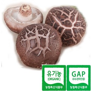 한그루 표고마을 유기농 생표고버섯(상급) 1kg당 16 000원, 1개, 1kg