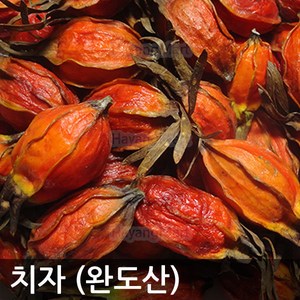 국내산 치자 1개 백원대 국산 완도산 통치자, 치자1알, 1g