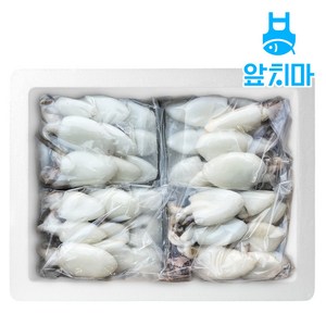 베이비이까 미니갑오징어 냉동, 2.16kg, 1개