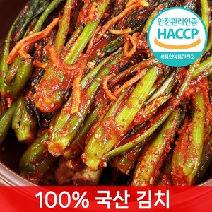[전라도찐맛] 당일제조 갓김치, 1개, 1kg