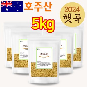 The큰나무 루피니빈 콩 루피니빈콩, 5개, 1kg