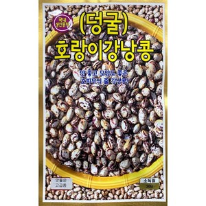 덩굴 호랑이 강낭콩씨앗 30g, 1개