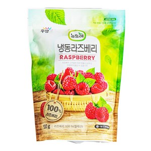 뉴뜨레 냉동 라즈베리, 500g, 1개