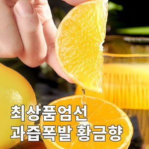 [백화점Vip용] 산지직송 당도선별 극강brix 가정용 황금향, 1박스, 2kg(가정용)