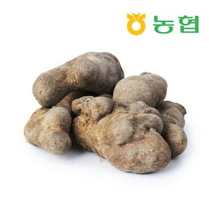 친환경팔도 [북안동농협] 안동 산마 (알뜰) 2kg 3kg 5kg, 산마 (알뜰)2kg