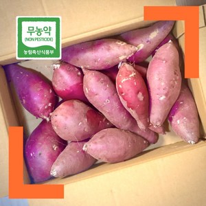 파머스넷 세척 무농약 꿀고구마 정품, 5kg 대 (300g이상), 1개