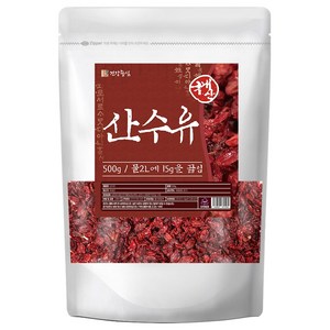 건강중심 국산 구례 산수유 건산수유, 1개, 500g