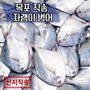 목포 국산 자랭이 병어 당일조업 산지직송 2kg(14미~20미), 1개, 2kg(횟감손질)