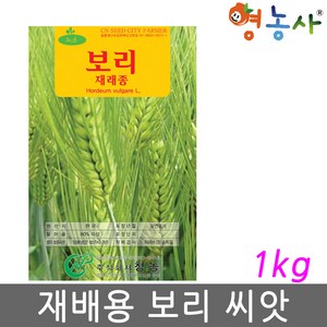 재배 보리 씨앗 1kg, 1개