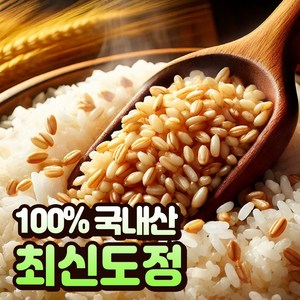 [100%국산] 호라산밀 카뮤트 효능 당뇨에좋은 쌀, 1개, 1kg