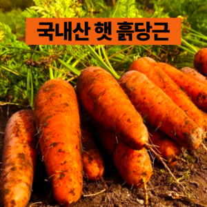 [싱싱한햇당근] 국내산 못난이 당근 흙당근, 1박스, 3kg(초특가 싱싱한 햇당근)