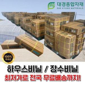 대경종합자재 장수비닐 하우스비닐 두께0.1mm x 폭5m x 길이50m / 상진일품장수필름 비닐하우스 농업용비닐 농업용 농사용비닐 농사용 대형비닐 치마비닐 비닐하우스치마, 1개