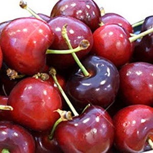 [두집살림]프리미엄 고당도 생 체리 특대과 항공직송 500g 1kg 2kg, 1박스, 특대9.5R 1kg