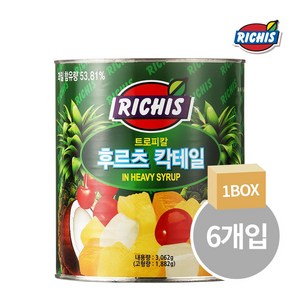 (주)동서 리치스 트로피칼 후르츠 칵테일, 3.062kg, 6개