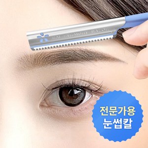 [전문가용] 철물마켓 일본 수출 눈썹칼 눈썹 정리칼, 5개, 블루
