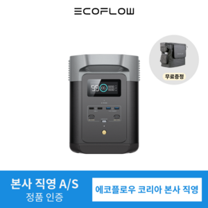 [가방 증정] 에코플로우 EcoFlow 파워뱅크 델타2 DELTA 2 대용량 고속충전 캠핑용 휴대용 220V LFP 인산철 배터리, 델타2 (단품), 1개