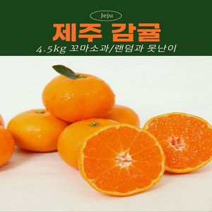 품질보증 제주 감귤 고당도, 1박스, 5kg 로얄과