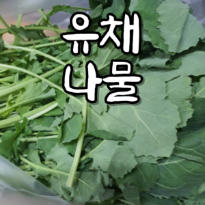 국내산 유채나물 겨울나물 겨울초 1kg/ 4kg, 1kg, 1개