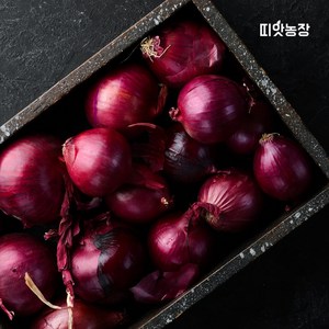 띠앗농장 제주 자색양파, 1개, 5kg(소)