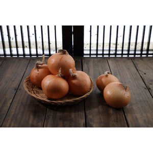 [꼬미농산] 2025년 달달하고 아삭한 국내산 햇양파 2kg 5kg, 1박스, 2kg(소)