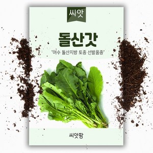 돌산갓 씨앗 (10g) 토종 씨앗, 1개