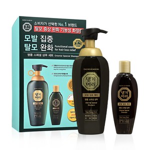 댕기머리 명품 스페셜 샴푸 500ml + 145ml, 1개, 645ml