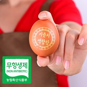 무항생제 계란 당일생산 초.신선 초란 HACCP 60구 청라골드계란, 2개, 30구