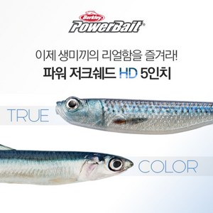 버클리 파워 저크쉐드 HD 5인치 광어 다운샷 웜 베이트, HDMKL HD고등어