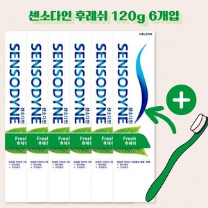 약국 정품 센소다인 후레쉬 120g 시린이 구취제거 민트향 6개입 묶음 프레쉬, 6개