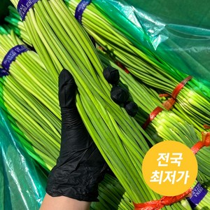 [직수입 전문] 신선 마늘쫑 마늘종 업소용 식자재 도매반장, 1개, 3kg