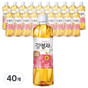 웅진 광명찾은 결명자차, 500ml, 40개