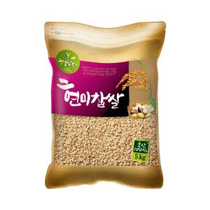 현대농산 국산 현미찹쌀 찰현미 5kg, 1개